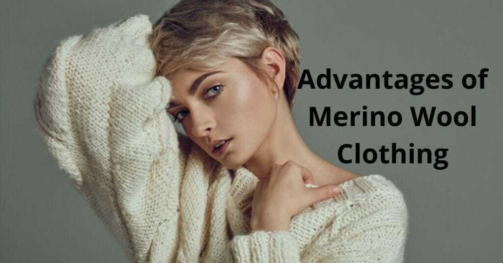 Advantages and Disadvantages of Merino Wool