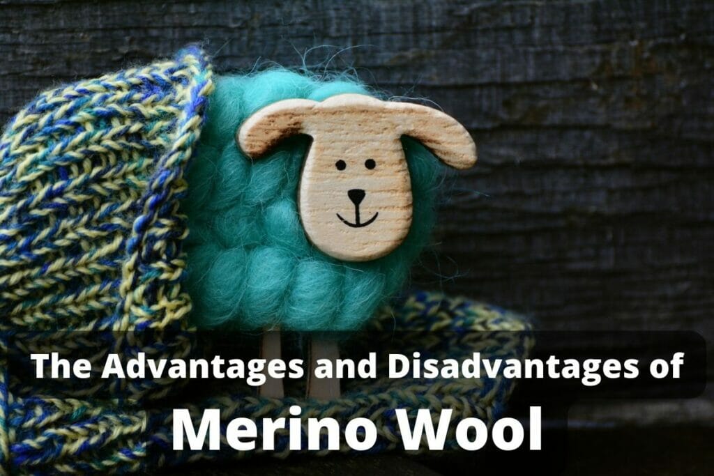 The-Advantages-and-Disadvantages-of-Merino-Wool