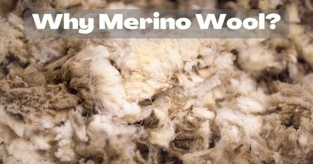 Why-Merino-Wool-merino-protect
