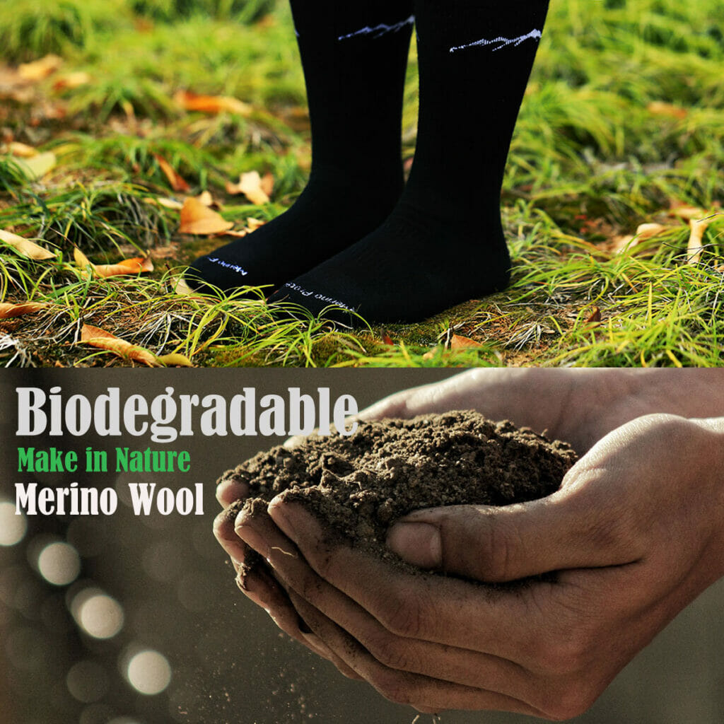 biodegradable merino