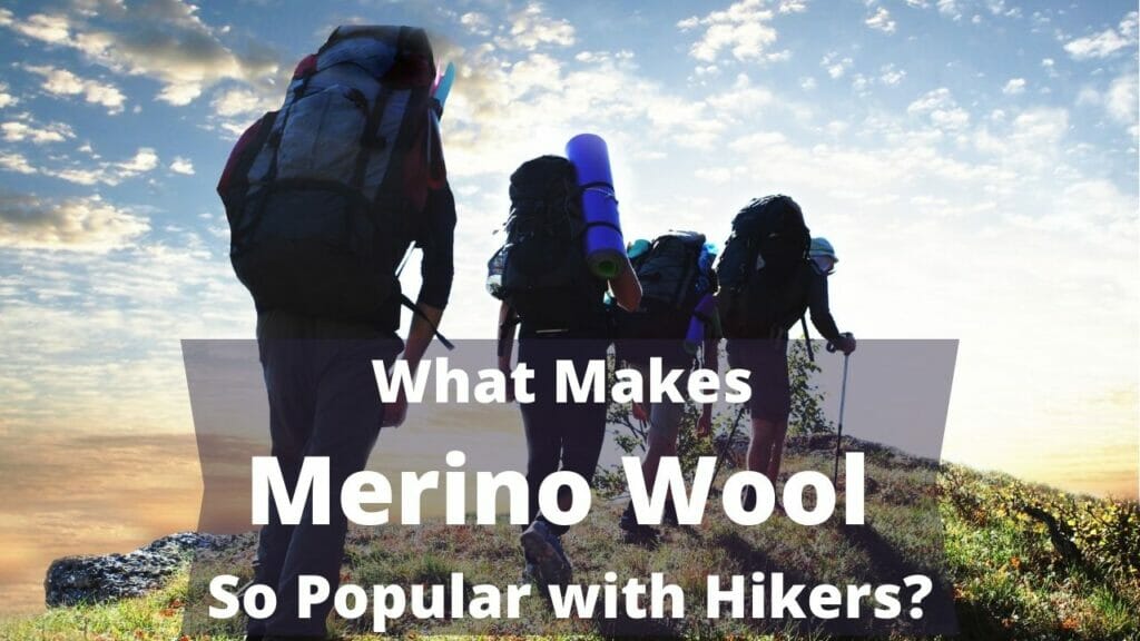 What Makes Merino Wool So Popular with Hikers