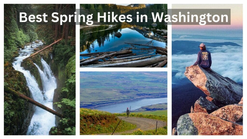 Best Spring Hikes in Washington