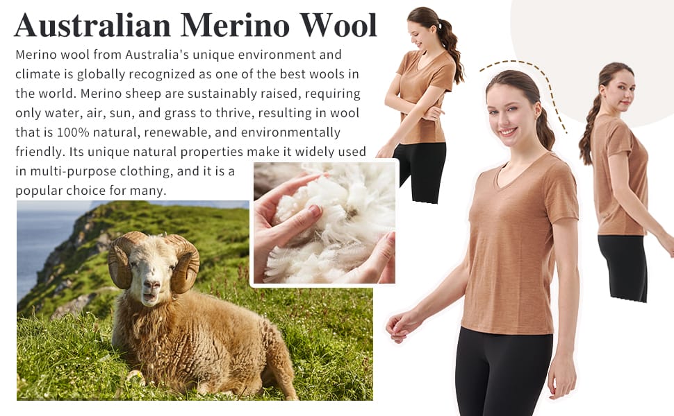 Australian 100% Merino Wool V Neck T-Shirt for Women